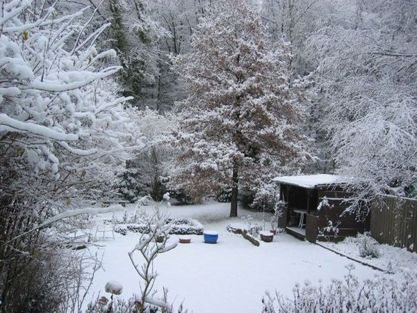 遲來的雪景---