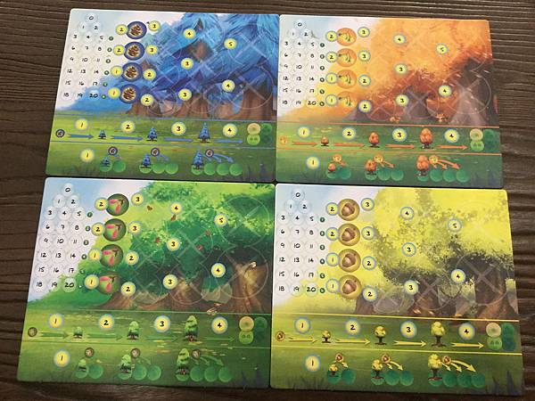 光合作用 PHOTOSYNTHESIS 繁體中文版 開箱及規 光合作用 PHOTOSYNTHESIS 繁體中文版 開箱及規