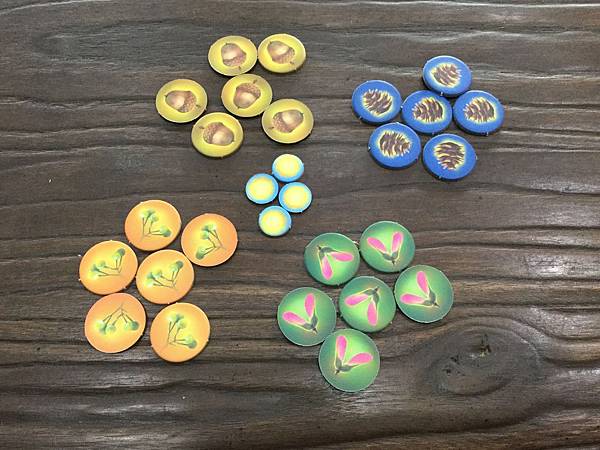 光合作用 PHOTOSYNTHESIS 繁體中文版 開箱及規 光合作用 PHOTOSYNTHESIS 繁體中文版 開箱及規