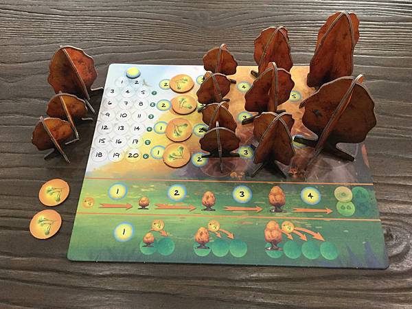 光合作用 PHOTOSYNTHESIS 繁體中文版 開箱及規 光合作用 PHOTOSYNTHESIS 繁體中文版 開箱及規