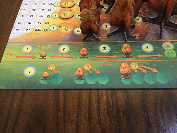 光合作用 PHOTOSYNTHESIS 繁體中文版 開箱及規 光合作用 PHOTOSYNTHESIS 繁體中文版 開箱及規