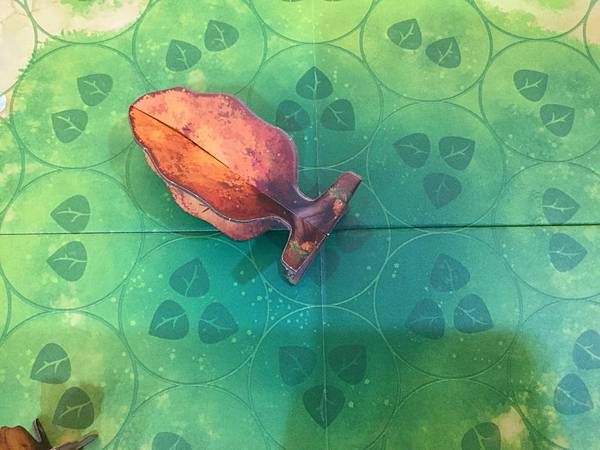 光合作用 PHOTOSYNTHESIS 繁體中文版 開箱及規 光合作用 PHOTOSYNTHESIS 繁體中文版 開箱及規