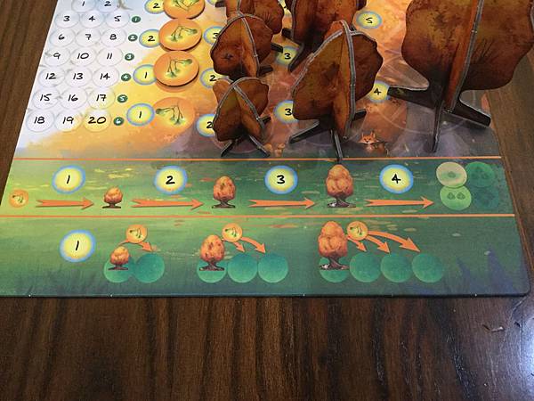 光合作用 PHOTOSYNTHESIS 繁體中文版 開箱及規 光合作用 PHOTOSYNTHESIS 繁體中文版 開箱及規