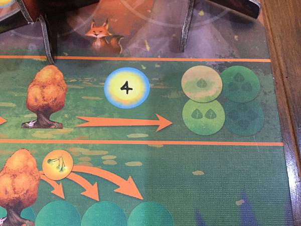 光合作用 PHOTOSYNTHESIS 繁體中文版 開箱及規 光合作用 PHOTOSYNTHESIS 繁體中文版 開箱及規