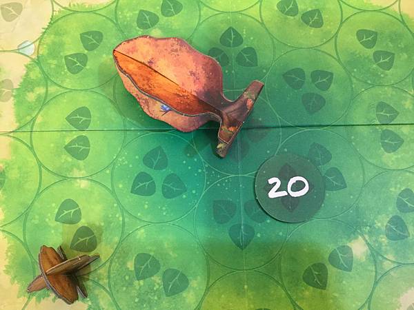 光合作用 PHOTOSYNTHESIS 繁體中文版 開箱及規 光合作用 PHOTOSYNTHESIS 繁體中文版 開箱及規