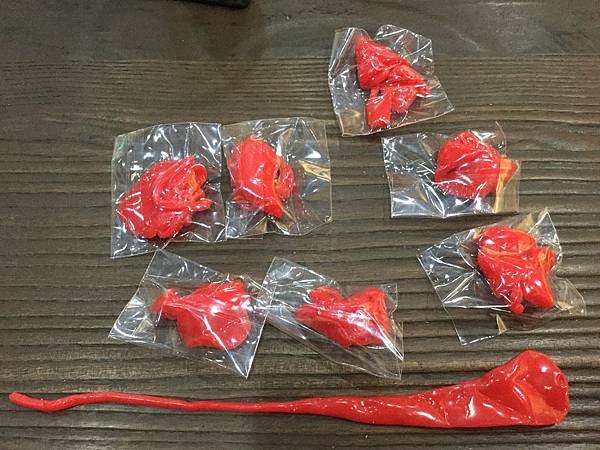 黏黏變色龍 Sticky Chameleons 繁體中文版 黏黏變色龍 Sticky Chameleons 繁體中文版