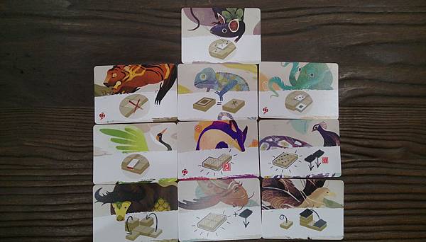 龍城對壘 DRAGON CASTLE繁體中文版 開箱及規則介 龍城對壘 DRAGON CASTLE繁體中文版 開箱及規則介