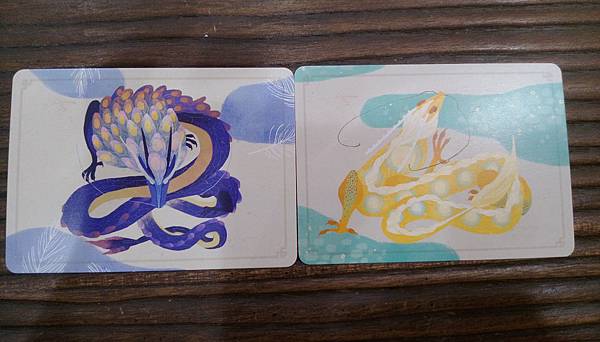 龍城對壘 DRAGON CASTLE繁體中文版 開箱及規則介