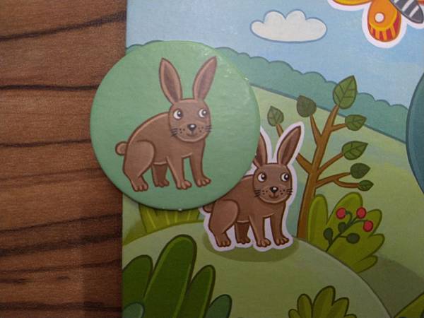 甜蜜的家 Sweet Home 附中文說明書 開箱及規則介紹 甜蜜的家 Sweet Home 附中文說明書 開箱及規則介紹