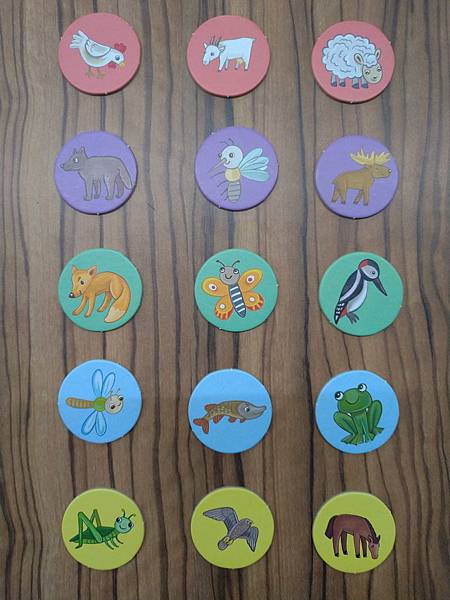 甜蜜的家 Sweet Home 附中文說明書 開箱及規則介紹 甜蜜的家 Sweet Home 附中文說明書 開箱及規則介紹