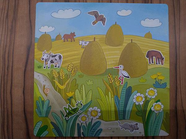 甜蜜的家 Sweet Home 附中文說明書 開箱及規則介紹 甜蜜的家 Sweet Home 附中文說明書 開箱及規則介紹