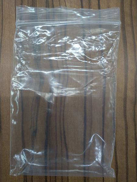 智人 Homo sapiens 附中文說明書 開箱及規則介紹 智人 Homo sapiens 附中文說明書 開箱及規則介紹