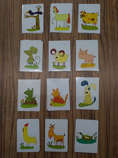 智人 Homo sapiens 附中文說明書 開箱及規則介紹 智人 Homo sapiens 附中文說明書 開箱及規則介紹