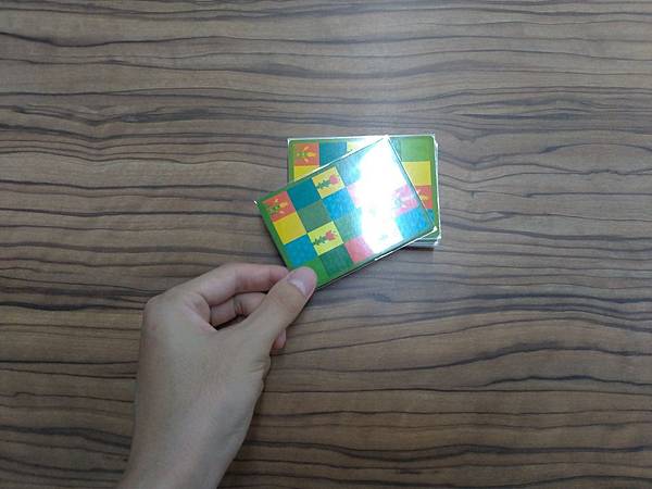 智人 Homo sapiens 附中文說明書 開箱及規則介紹 智人 Homo sapiens 附中文說明書 開箱及規則介紹