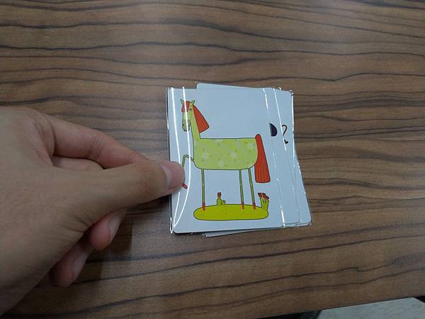 智人 Homo sapiens 附中文說明書 開箱及規則介紹 智人 Homo sapiens 附中文說明書 開箱及規則介紹