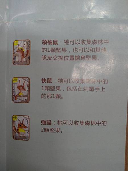 松鼠取堅果 Squeeerrels 附中文說明書 開箱及規則 松鼠取堅果 Squeeerrels 附中文說明書 開箱及規則