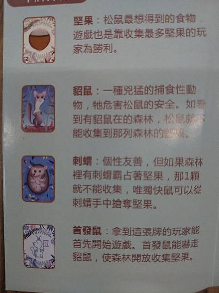 松鼠取堅果 Squeeerrels 附中文說明書 開箱及規則 松鼠取堅果 Squeeerrels 附中文說明書 開箱及規則