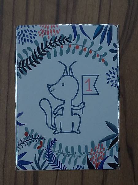 松鼠取堅果 Squeeerrels 附中文說明書 開箱及規則 松鼠取堅果 Squeeerrels 附中文說明書 開箱及規則