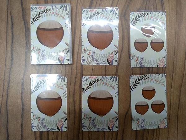 松鼠取堅果 Squeeerrels 附中文說明書 開箱及規則 松鼠取堅果 Squeeerrels 附中文說明書 開箱及規則