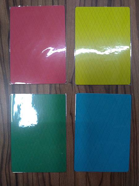 松鼠取堅果 Squeeerrels 附中文說明書 開箱及規則 松鼠取堅果 Squeeerrels 附中文說明書 開箱及規則