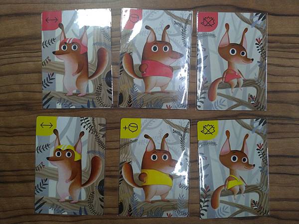 松鼠取堅果 Squeeerrels 附中文說明書 開箱及規則 松鼠取堅果 Squeeerrels 附中文說明書 開箱及規則