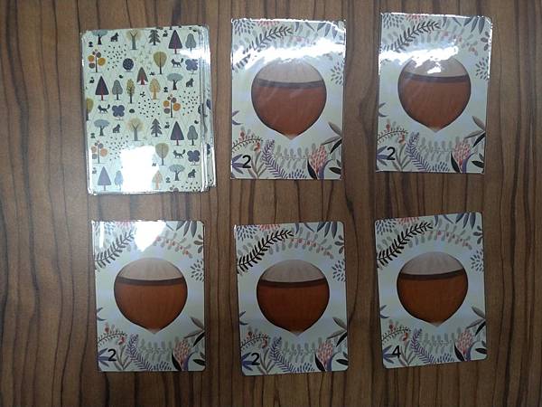 松鼠取堅果 Squeeerrels 附中文說明書 開箱及規則 松鼠取堅果 Squeeerrels 附中文說明書 開箱及規則