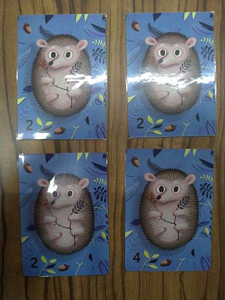 松鼠取堅果 Squeeerrels 附中文說明書 開箱及規則 松鼠取堅果 Squeeerrels 附中文說明書 開箱及規則