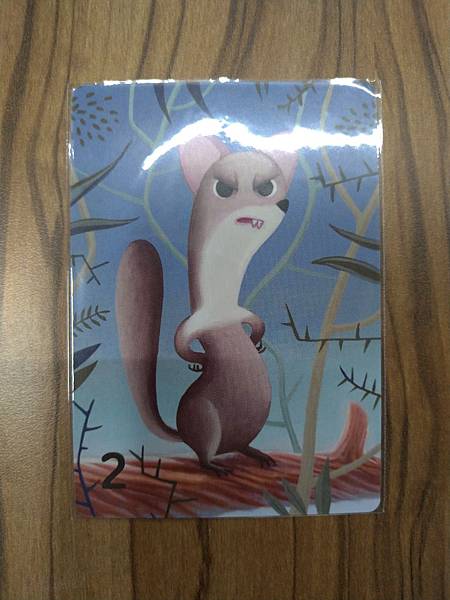 松鼠取堅果 Squeeerrels 附中文說明書 開箱及規則 松鼠取堅果 Squeeerrels 附中文說明書 開箱及規則