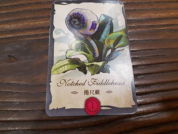 神奇種子 MYSTICAL SEEDS 繁體中文版 開箱及規 神奇種子 MYSTICAL SEEDS 繁體中文版 開箱及規