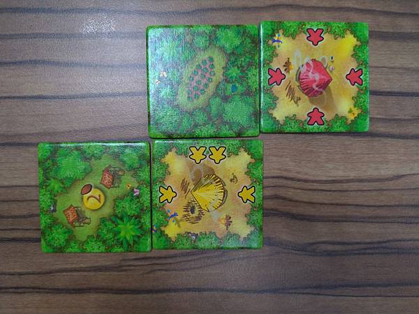 可可亞 Cacao 繁體中文版 開箱及規則介紹 by 高雄龐 可可亞 Cacao 繁體中文版 開箱及規則介紹 by 高雄龐