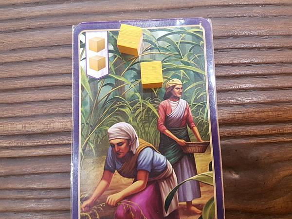 香料之路 CENTURY SPICE ROAD 繁體中文版  香料之路 CENTURY SPICE ROAD 繁體中文版