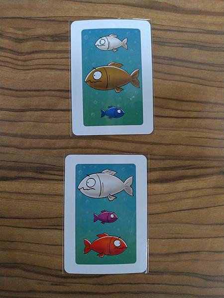 大魚吃小魚 PIRANHAS 繁體中文版 開箱及規則介紹 b 大魚吃小魚 PIRANHAS 繁體中文版 開箱及規則介紹 b