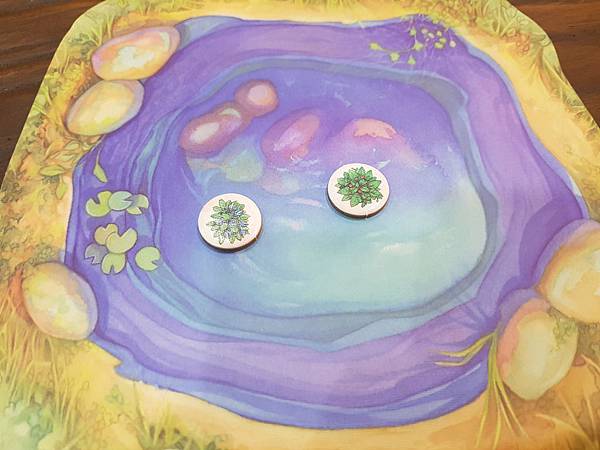 新演化論 Evolution 繁體中文版加擴充 開箱及規則介 新演化論 Evolution 繁體中文版加擴充 開箱及規則介