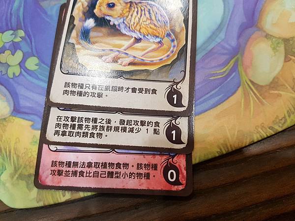 新演化論 Evolution 繁體中文版加擴充 開箱及規則介 新演化論 Evolution 繁體中文版加擴充 開箱及規則介