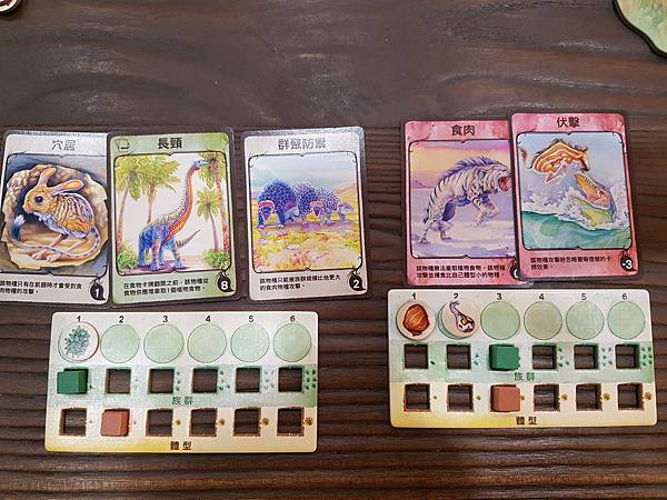 新演化論 Evolution 繁體中文版加擴充 開箱及規則介 新演化論 Evolution 繁體中文版加擴充 開箱及規則介