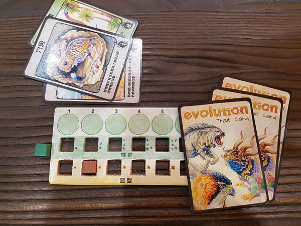 新演化論 Evolution 繁體中文版加擴充 開箱及規則介 新演化論 Evolution 繁體中文版加擴充 開箱及規則介