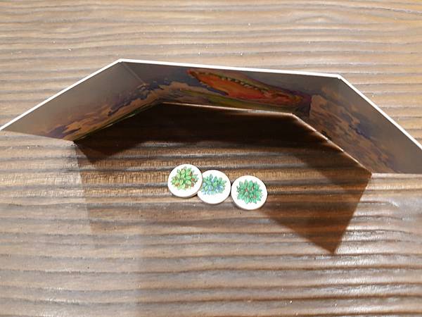 新演化論 Evolution 繁體中文版加擴充 開箱及規則介 新演化論 Evolution 繁體中文版加擴充 開箱及規則介