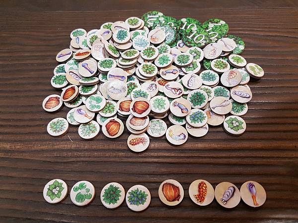 新演化論 Evolution 繁體中文版加擴充 開箱及規則介 新演化論 Evolution 繁體中文版加擴充 開箱及規則介