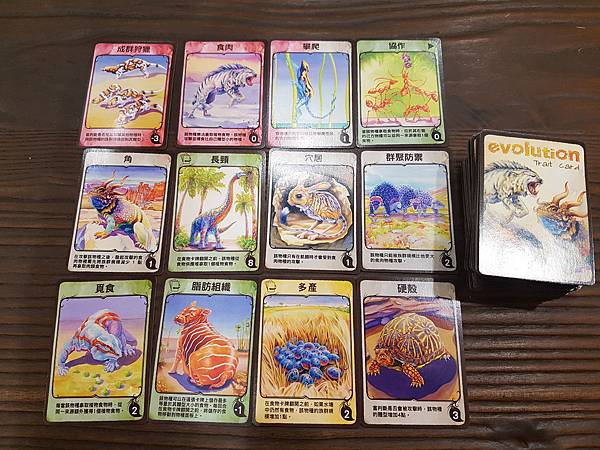 新演化論 Evolution 繁體中文版加擴充 開箱及規則介 新演化論 Evolution 繁體中文版加擴充 開箱及規則介