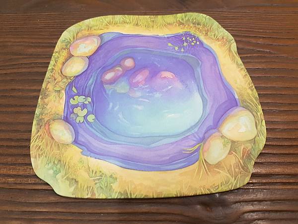 新演化論 Evolution 繁體中文版加擴充 開箱及規則介 新演化論 Evolution 繁體中文版加擴充 開箱及規則介