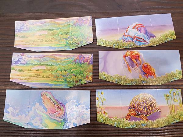 新演化論 Evolution 繁體中文版加擴充 開箱及規則介 新演化論 Evolution 繁體中文版加擴充 開箱及規則介