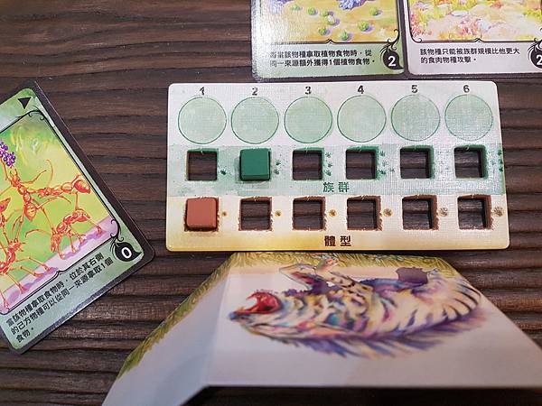 新演化論 Evolution 繁體中文版加擴充 開箱及規則介 新演化論 Evolution 繁體中文版加擴充 開箱及規則介