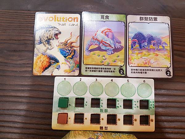 新演化論 Evolution 繁體中文版加擴充 開箱及規則介 新演化論 Evolution 繁體中文版加擴充 開箱及規則介