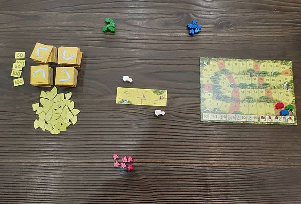 卡卡頌 非洲旅遊 Carcassonne Safari 繁體 卡卡頌 非洲旅遊 Carcassonne Safari 繁體