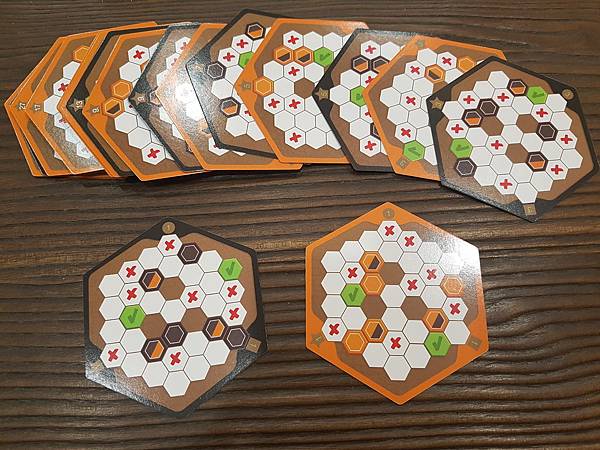 暗影行動 阿姆斯特丹 SHADOWS AMSTERDAM 暗影行動 阿姆斯特丹 SHADOWS AMSTERDAM