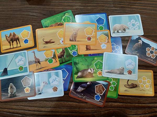 創世星球 Planet 繁體中文版 開箱及規則介紹 by 高