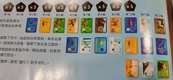 創世星球 Planet 繁體中文版 開箱及規則介紹 by 高