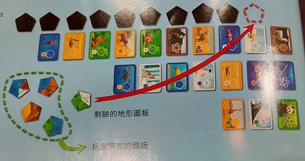 創世星球 Planet 繁體中文版 開箱及規則介紹 by 高