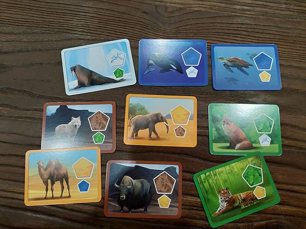 創世星球 Planet 繁體中文版 開箱及規則介紹 by 高