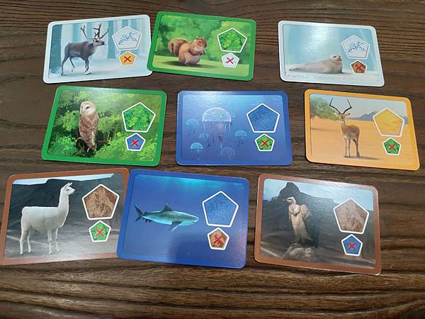 創世星球 Planet 繁體中文版 開箱及規則介紹 by 高